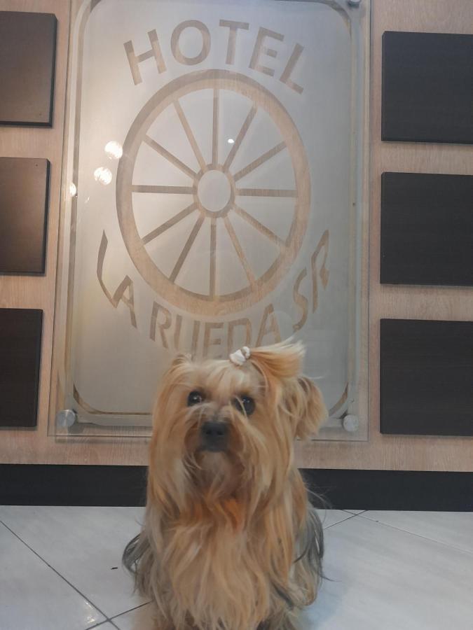 Hotel La Rueda Sr باربوزا المظهر الخارجي الصورة